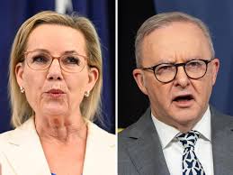 Brilliant editor, role model'