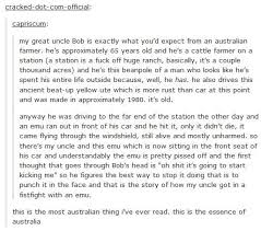 The Most Australian Thing Ever Lolsnaps Funny Tumblr Posts Tumblr Funny Funny