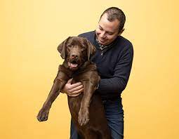 We are located in central ohio. Cleveland Pet Guide Owen The Chocolate Lab Has Grown Into A Loving Gentle Dog