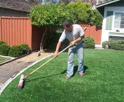 We did not find results for: How To Clean Artificial Grass Remove Pet Odors And Stains In Yard