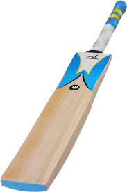 download woodworm cricket bat full size png image pngkit pngkit