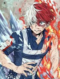 Shoto Todoroki Burns Anime My Hero Boku No Hero Academia