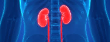 Living Kidney Donor Transplant Conditions Treatments
