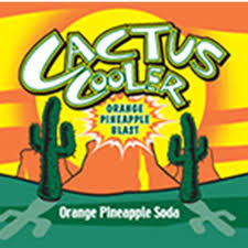 Shop the planet desert cactus collection for unique and beautiful cacti to add to your collection of plants. Cactus Cooler Cactuscooler Twitter