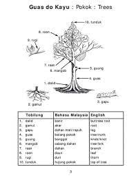 Fiszkoteka, your checked malaysian english dictionary! Renjer Hutan Mafia Actor Dot My Selasak 3 H Facebook