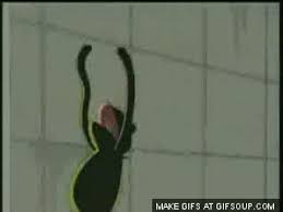 Https Encrypted Tbn0 Gstatic Com Images Q Tbn 3aand9gctjpxo Ncdtdw7d659qhdujo5trczhqyblfyq Usqp Cau