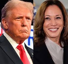 The Babylon Bee,” a conservative answer to “The Onion,” has found that  President Trump's outsize personality, combined with the rage he inspires 