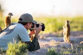 20 Photos Qui Prouvent Qu Etre Photographe Animalier Est Le Plus Beau Job Du Monde Nature Photographs Wildlife Photography Meerkat