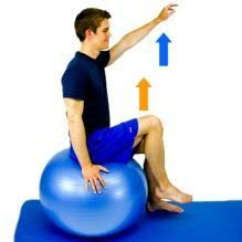 Seated On Stability Ball Leg Lifts Google Search Ball Exercises Exercise Workout Plan For Beginners