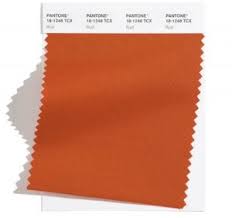 The experts from the pantone colour institute see also: The Pantone Palette 2021 Interior Styling The Shady Gal