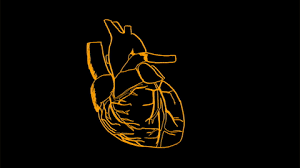 Heart stop motion hope ily te amo i love cheer up lov love gif gif day national gif day animation valentine coracao craft 147 Images About Gifs On We Heart It See More About Gif And Tumblr