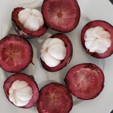 Image result for Garcinia mangostana