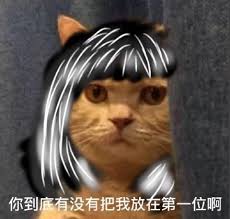 橘猫表情包 百度图片搜索 挖一下 animals cats owl