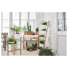 4.6 out of 5 stars 278 Satsumas Plant Stand With 5 Plant Pots Bamboo White Ikea