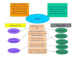 But a single cell can also be alive. Ppt Cells Powerpoint Presentation Free Download Id 5848859