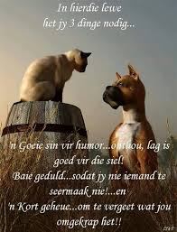 Pin By Marie Pitzer On Afrikaans Afrikaans Quotes Afrikaanse Quotes Christian Quotes Prayer