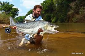 Goliath Tigerfish In A Warzone Fish Fishing Tips Pike Fish Recipes