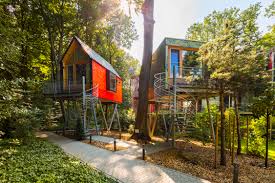 You need the right tree and capable materials. Tree Houses V Hotel Kunst Design Bonn Venusberg