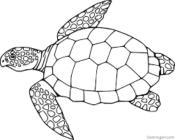 Free printable reptile coloring pages. Turtle Coloring Pages Coloringall
