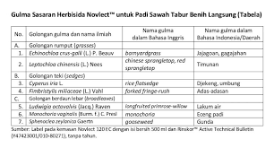Namun rumput juga dianggap tumbuhan pengganggu apabila rumput dan tumbuhan liar lainnya yang tumbuh di lahan pertanian dianggap sebagai gulma. Corteva Agriscience Luncurkan Herbisida Loyant Dan Novlect Kendalikan Gulma Padi Agrikan