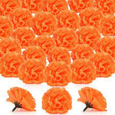 We did not find results for: Buy Artificial Marigold Flower Heads Bulk Marigold Flower Heads Artificial Flower Silk Fake Marigold For Cinco De Mayo Wedding Party Banquet Diy Craft Decoration Orange 80 Pieces Online In Indonesia B08vfl9sxx