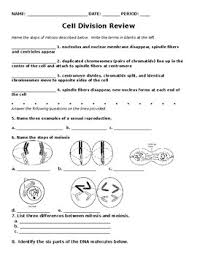 Handout for the answers to the webquest: Science Mitosis And Meiosis Worksheets Teaching Resources Tpt