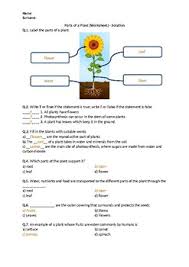 Weather and climate word scramble worksheets. Parts Of A Plant Worksheet Distance Learning By Science Worksheets