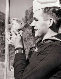 chooks • books • crossword • politics • literature