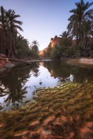 فرحان الشمري On Twitter Iphone Wallpaper Video Photos Lab Photo