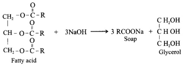 Students feel that organic chemistry is slightly difficult. Rbse Class 10 Science Notes Chapter 5 Chemistry In Everyday Life Rbse Guide