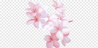 We would like to show you a description here but the site won't allow us. Animasi Malaikat Desktop Animasi Bunga Kartun Wallpaper Desktop Png Pngwing