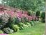 Backyard Landscaping Ideas
