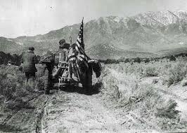 Image result for White 1908 Military