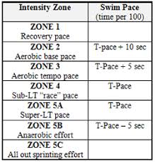 How To Determine Your Swimming Pace Zones