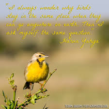 We would like to show you a description here but the site won't allow us. Kavey Eats Travel Quote Tuesday Go Anywhere On Earth