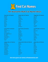 This dark history carries on in names for black cats today. Cute Cat Names Male Black Cat S Blog