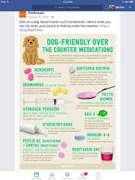 Pin By Anicka On Dog Medication In 2020 Meds For Dogs Medication For Dogs Baby Aspirin For Dogs