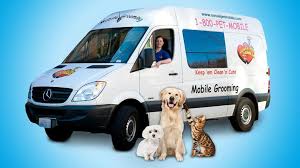 Puppy grooming, mobile pet spa is a local pet grooming company in beverly hills that provides personal best mobile pet grooming services right near you! Aussie Pet Mobile The Leader In Mobile Pet Grooming