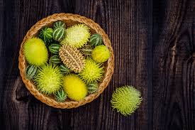 Image result for Cucumis anguria