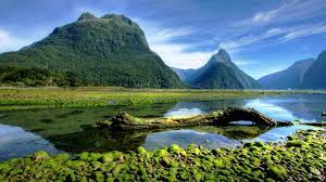 Maybe you would like to learn more about one of these? Novy Zeland Se Snazi Omezit Silici Napor Zahranicnich Turistu Podrazi Viza I Nocleh V Narodnich Parcich Hospodarske Noviny Hn Cz