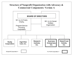 Charities Lobbying 501 C 4 Organizations Hurwit