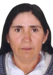 Antecedentes de Otorongos Elecciones 2022