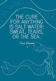 The cure for anything is salt water: Or The Sea Isak Dinesen Sign The Cure For Anything Is Salt Water Sweat Tears Home Decor Enterprisesupport Garden Plaques