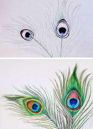 What kind of paper do you need to draw a peacock? How To Draw A Peacock Feather Simplified Craftsy