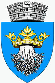 Bazinul olimpic brasov, brasov, romania. Bazinul Olimpic Brasov Brasov Mancare Petrecere Si Cazare