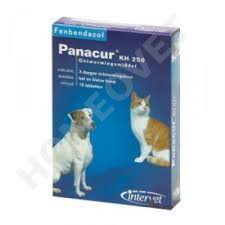 Virbac milpro grote hond is een ontwormingsmiddel dat veilig is in gebruik en is effectief tegen alle belangrijke wormen bij honden en katten. Panacur Kh 250 Wurmkur Katze Hund