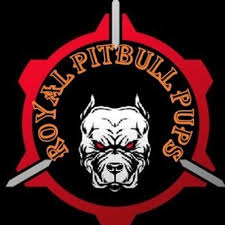 Über 7 millionen englischsprachige bücher. Royal Pitbull Pups Home On Twitter Black Panther Pitbull Puppies For Sale We Litter Box Train Our Puppies Much Like Cats With Pine Pellet Litter We Begin Litter Box Training Between 3 4 Weeks