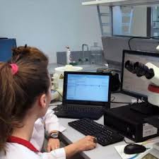 Facultatea De Inginerie Medicala Universitatea Politehnica Din Bucuresti Este Una Din Cele Mai Mari Universitati Din Se Europei Si Cea Mai Mare Scoala De Ingineri Din Romania