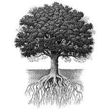 Img Thing Free Images At Clker Com Vector Clip Art Online Royalty Free Public Domain Oak Tree Drawings Oak Tree Tattoo Tree Drawing