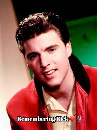 Gunnar and Matthew Nelson are hosting the "Holiday Lights Spectacular," a  celebration of dazzling holiday light displays from across the United  States.